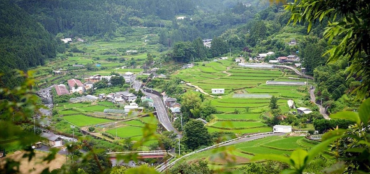「ごみゼロ」を目指す環境にやさしい日本の町