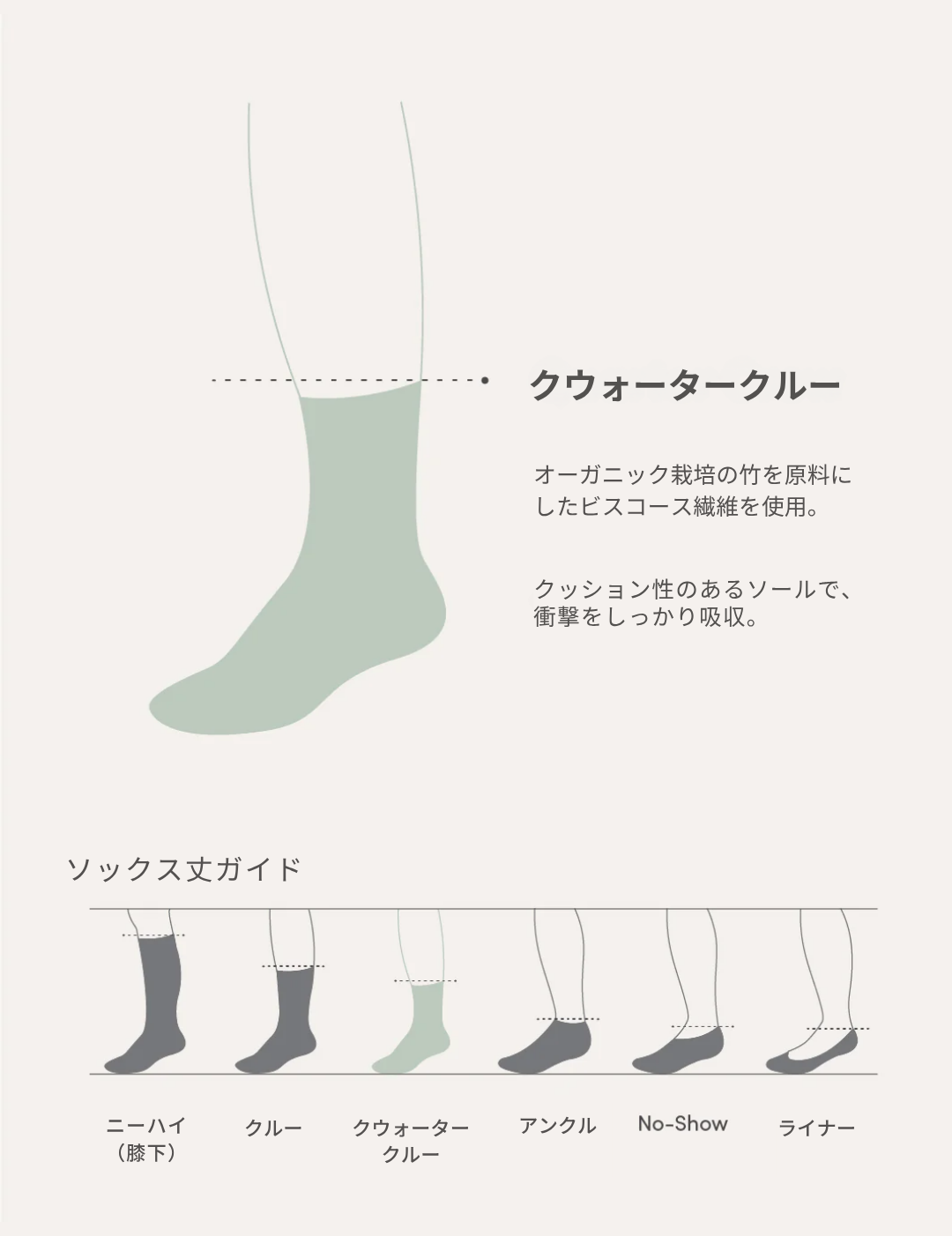 クッションクウォータークルーソックス | Black