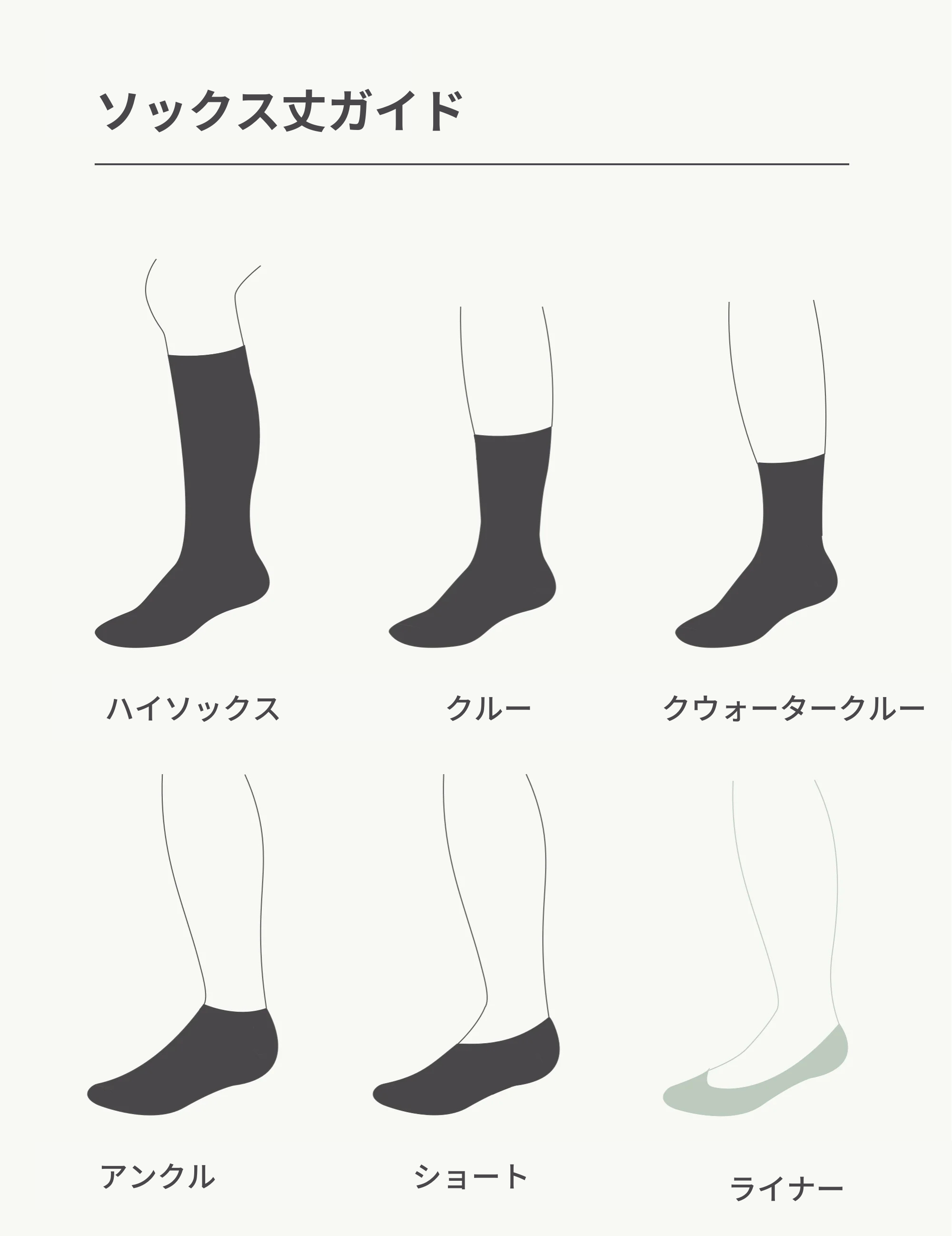 エブリデイライナーソックス