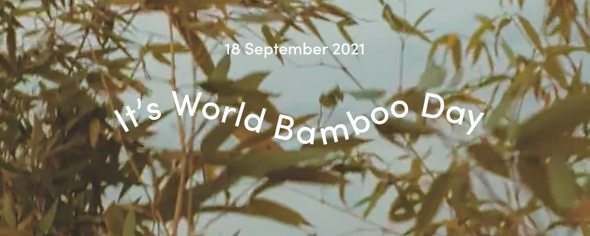 9月18日「世界竹の日」・人と地球にやさしい１０の恵み