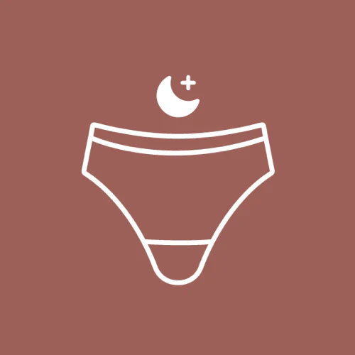 吸水サニタリーショーツ 夜用